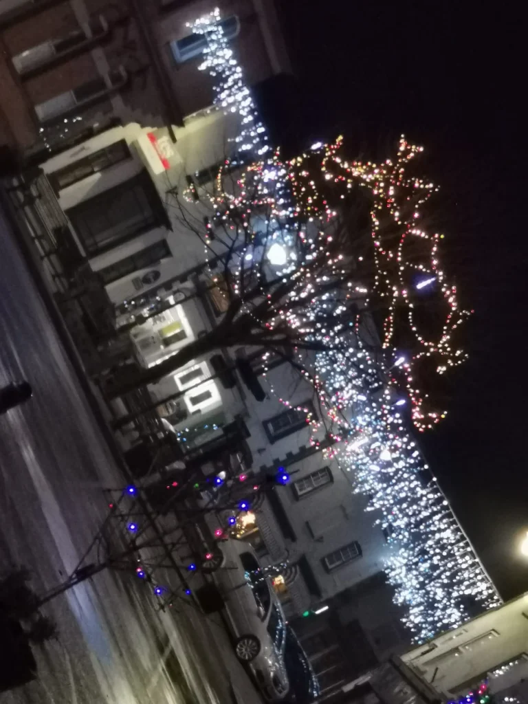Alfords Christmas Spectacular Extravaganza
